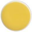 Piure de Ananas Golden 100% Pacific Fruit - 1 kg, ambientat